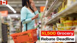 $1,500 Grocery Rebate Deadline Set for December 15: Millions Must Reapply