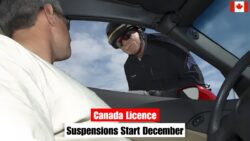 New Canada Traffic Rules Bring Automatic Licence Suspensions From December 15